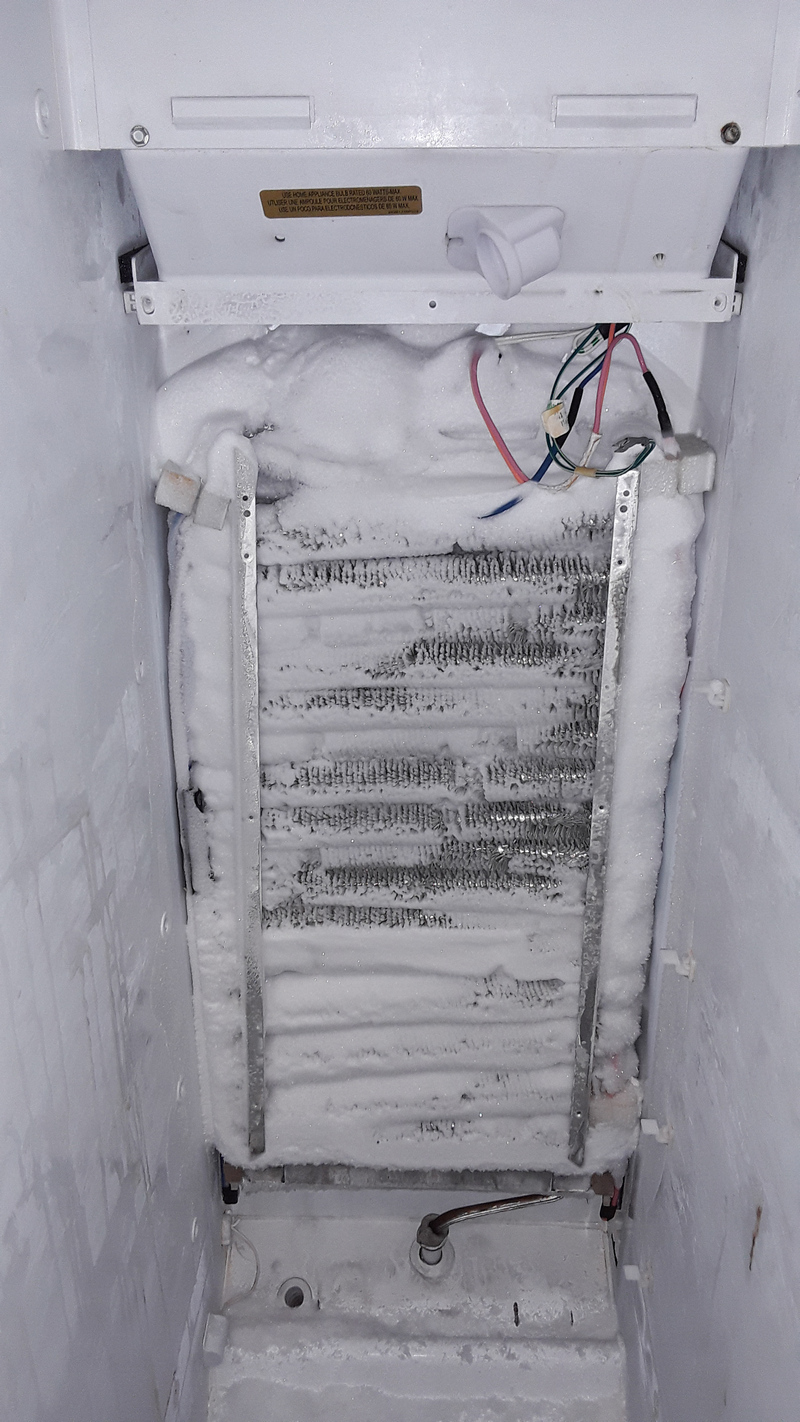 appliance repair refrigerator repair evaporator coli issue live oak avenue chuluota fl 32766