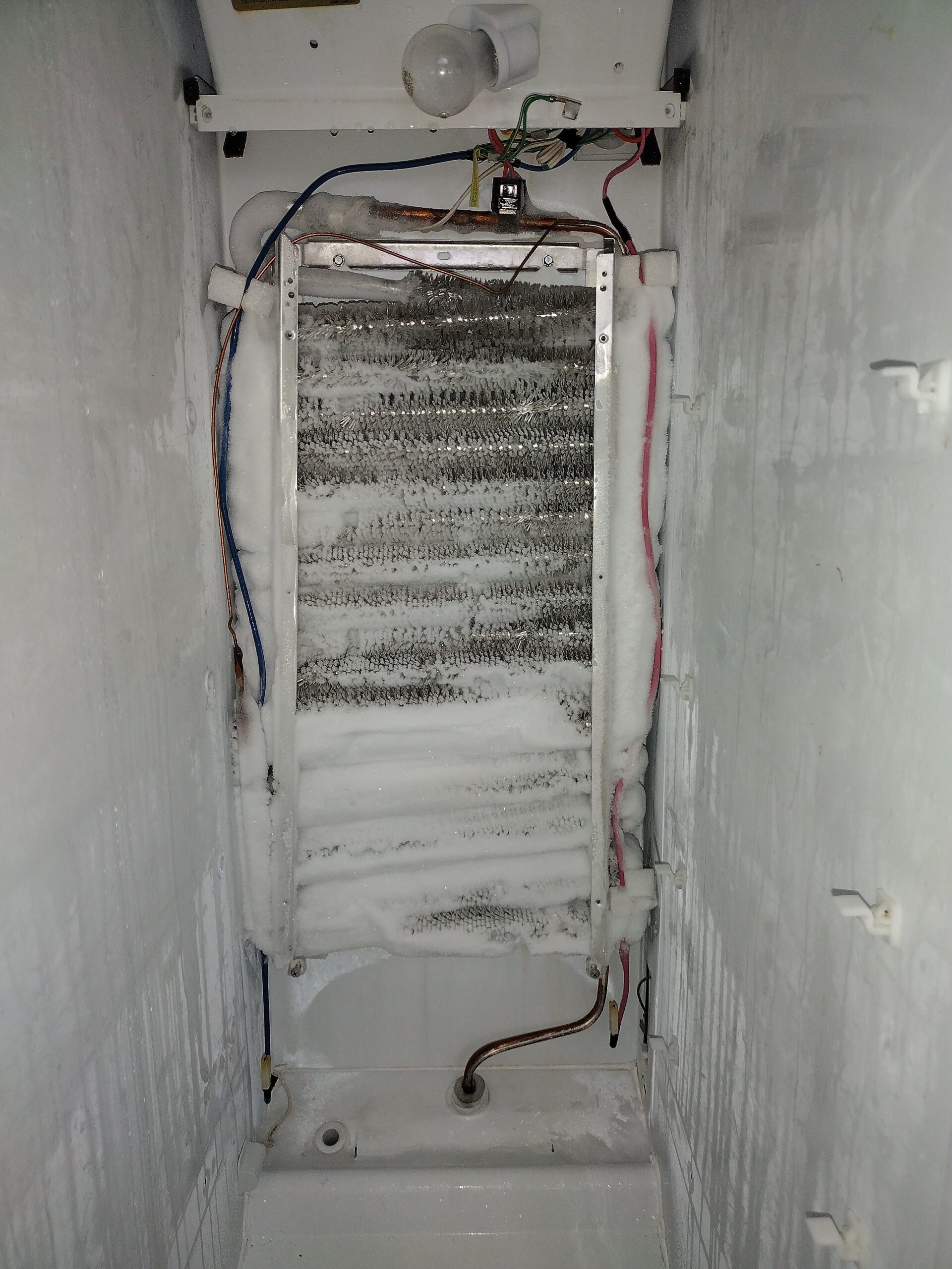appliance repair refrigerator repair Installed new defrost heater murry dr orlovista fl 32811