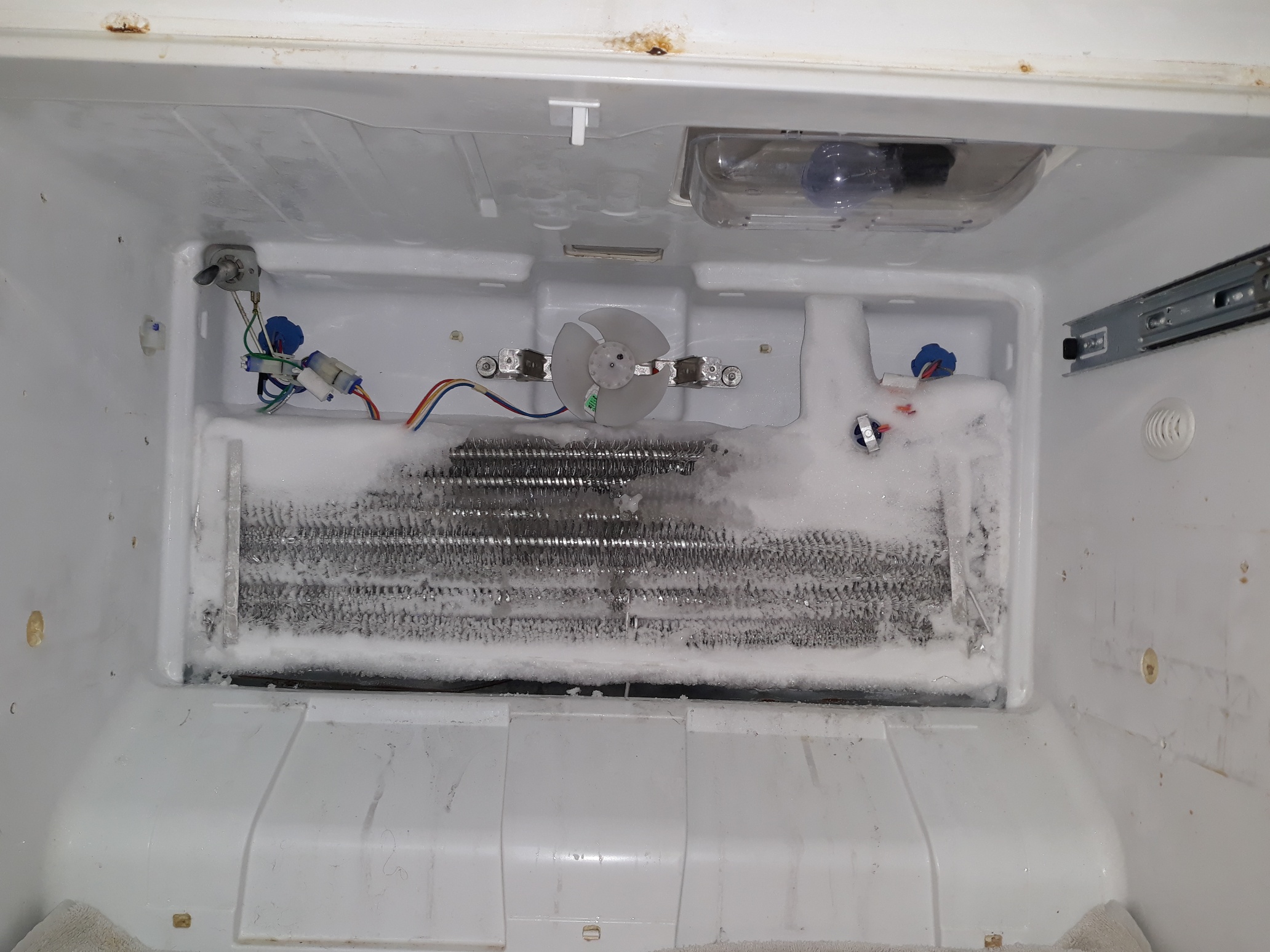 appliance repair refrigerator repair replace evaporator coil along and safety limit thermostat broleman rd lake hart orlando fl 32832