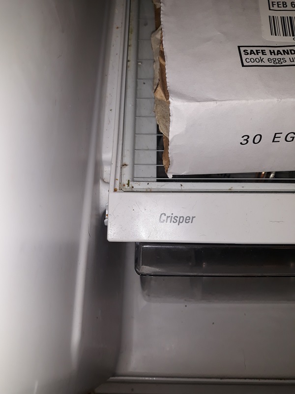 appliance repair refrigerator repair repair required readjustment of the bottom shelf assembly after removing the seized item in the back gunn highway keystone odessa fl 33556