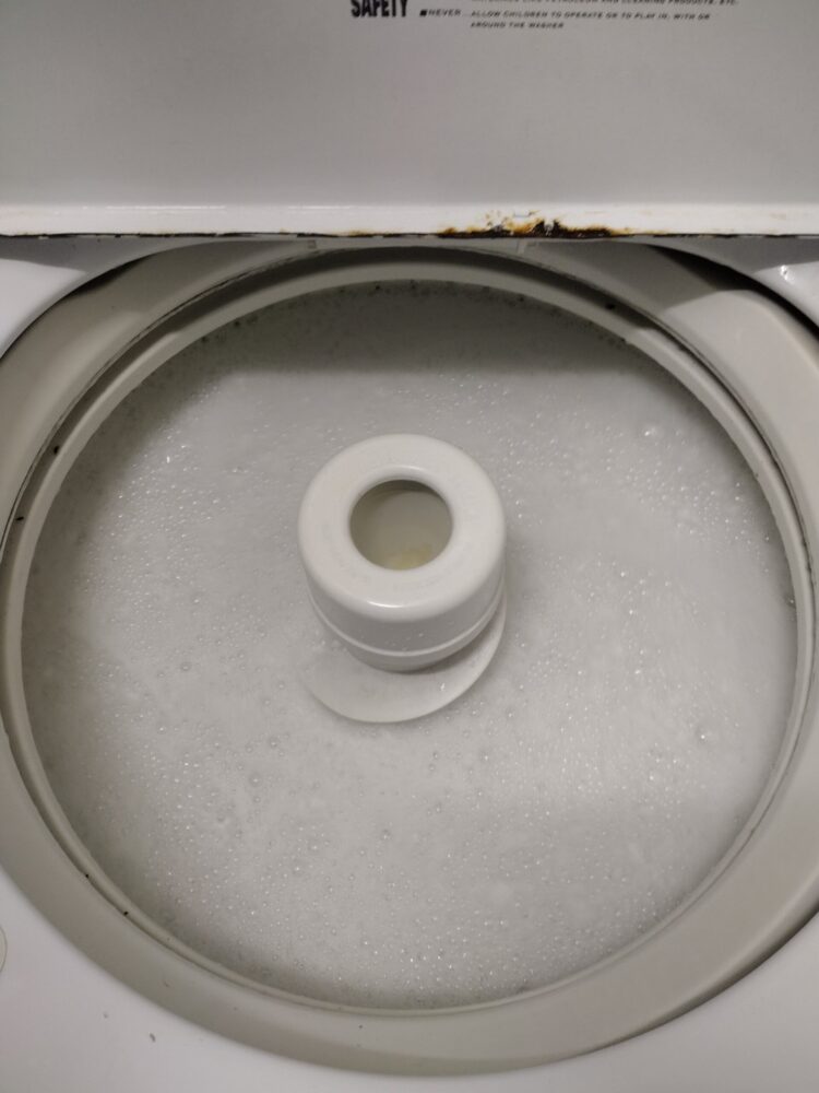 appliance repair washing machine repair flushed out tank with washer cleaner aley st wimauma fl 33598