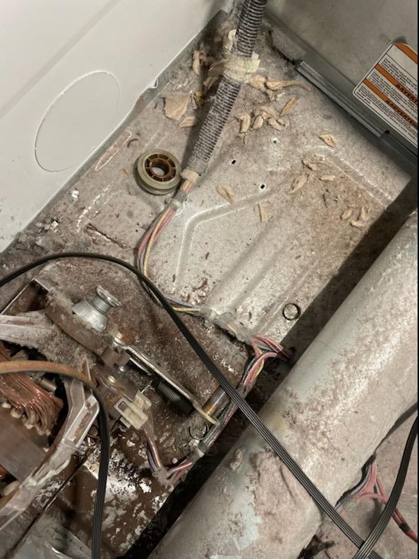 appliance repair dryer repair electric dryer Adler pulley durden rd lacoochee dade city fl 33523