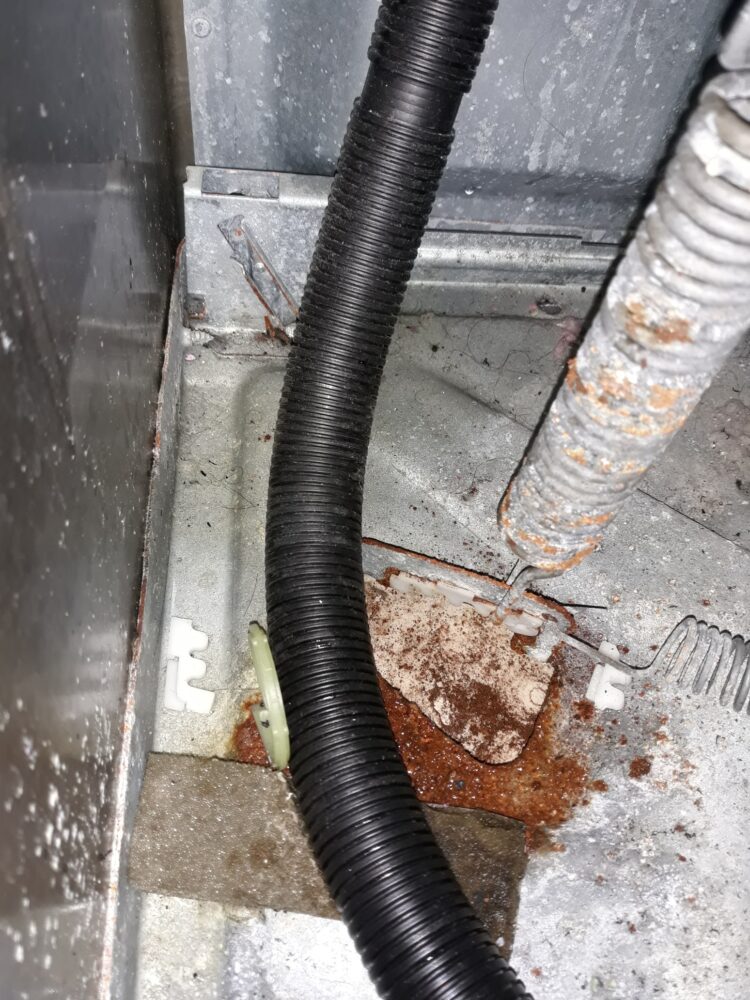 appliance repair dryer repair repair require a replacement drain hose that has friction damage keene rd land o’ lakes fl 34638