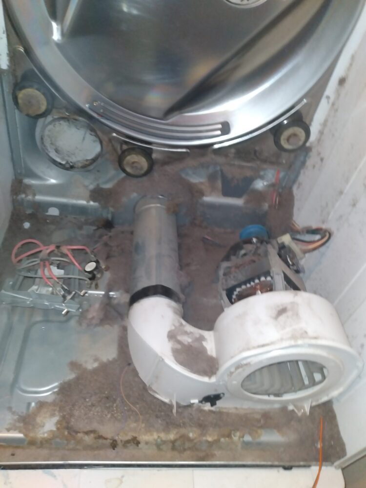 appliance repair dryer repair heating element shorted out 1st st belleair beach fl 33786