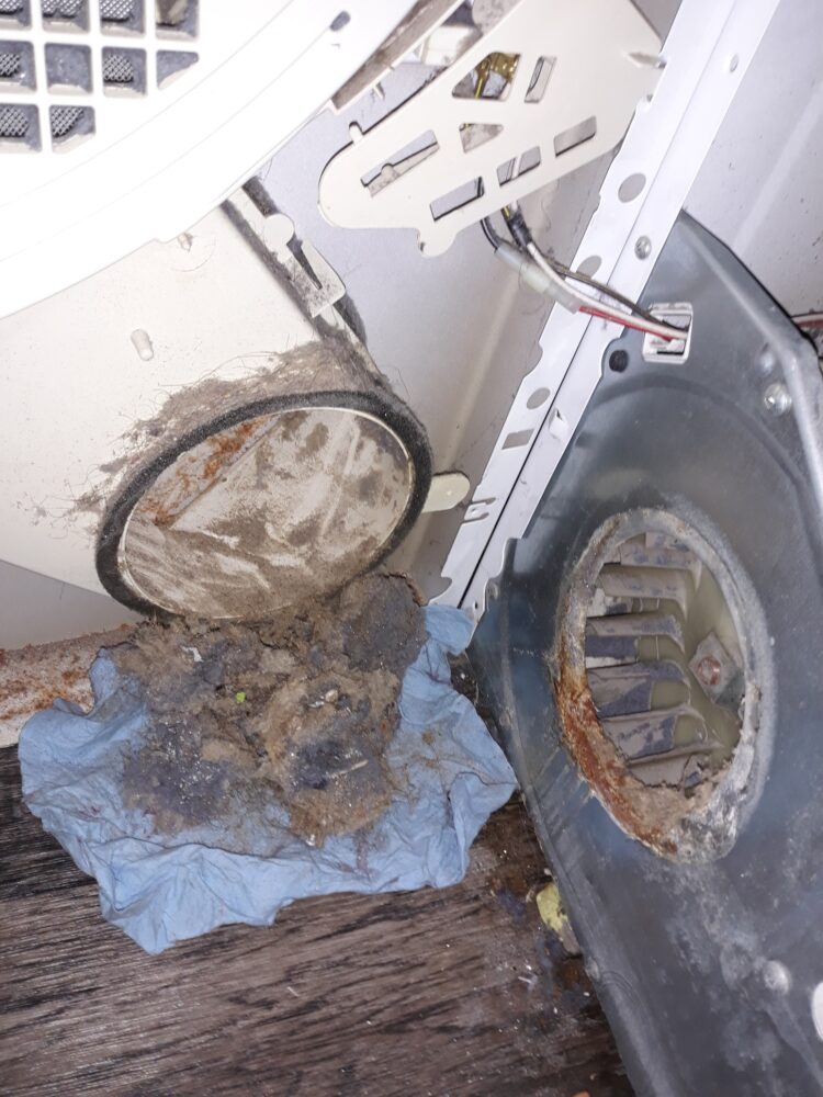 appliance repair dryer repair repair required replacement of the broken drum belt with a new part sapling dr orange park fl 32073