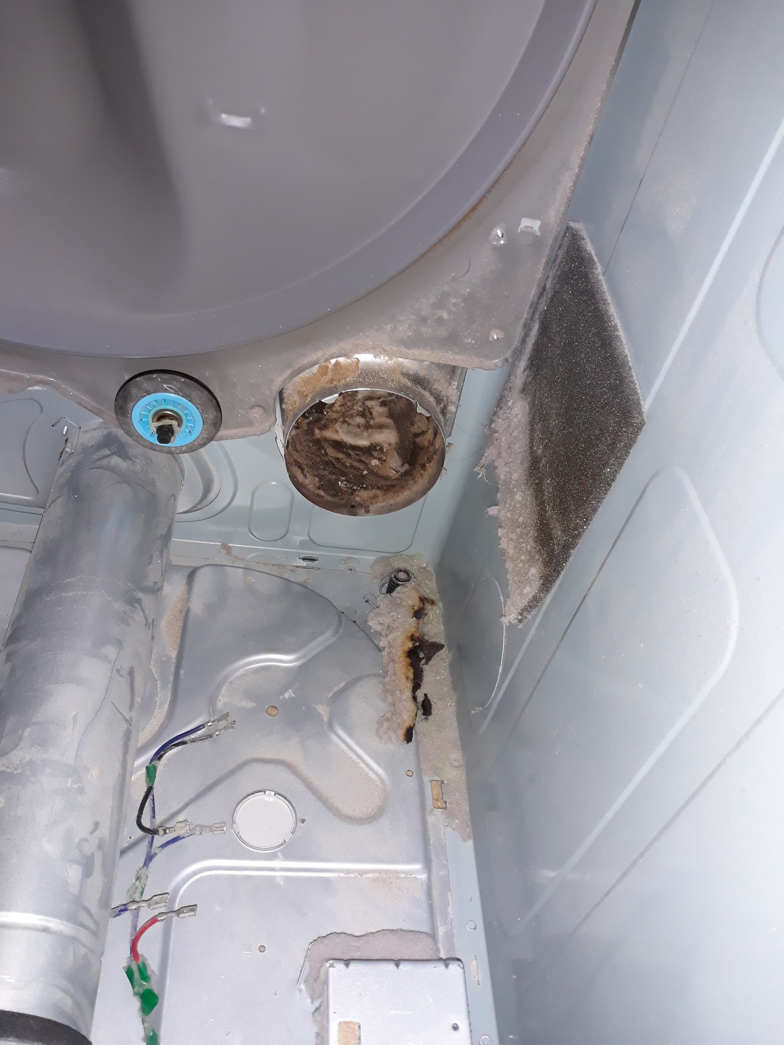 appliance repair dryer repair repaired by replacement of the broken heating element n hubb st coleman fl 33521